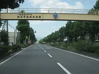 Route 407 Kumagaya City 2.JPG