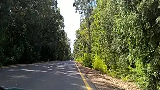 Route 918 in the Upper Galilee 02.jpg