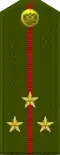 Senior Lieutenant