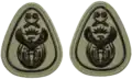 Master Chief Warrant Officer embossed badge