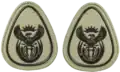 Warrant Officer 1st Class embossed badge