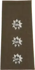 Service Dress Shoulder Board for a Captain in the SA Army
