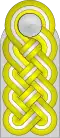 Shoulder board (Waffen-SS)
