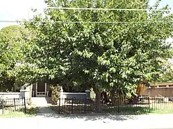 The Mathew O'Brien House – 1920