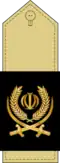 Islamic Republic of Iran Army Ground Forces insignia