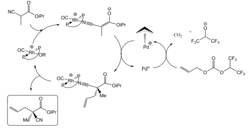 Dual transition metals catalytic cycles proposed by Sawamura et al.