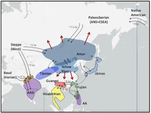 Highlighted regions show where ancient individuals associated with the labeled ancestry have been sampled.