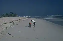 A diver swimming through a school of fish.