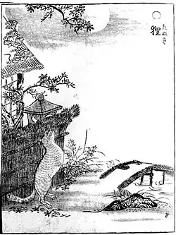 Tanuki (狸) (raccoon dog)