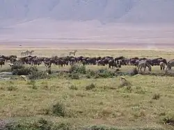 Serengeti National Park