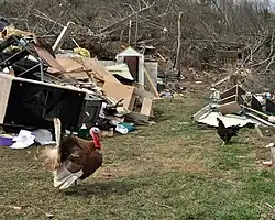 Damaged buildings after a tornado, 2012
