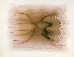 Shannon, Sublime, 1973