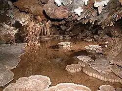 Shelfstone growing on the edge of a small cave pool