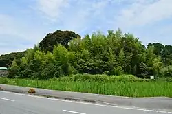 Shibunomaruyama Kofun