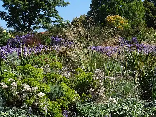 A prairie-style planting, September 2016