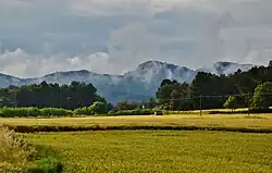 Looks like this Site of Community Interest has an image. Don't worry, you can take one of your own, and upload it too!