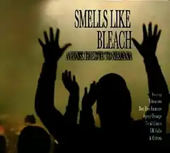 A photo of a crowd of silhouetted people with their arms raised in the air.