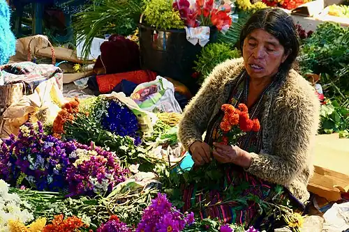 A woman inspecting a bunch of red flowers at a market in Guatemala