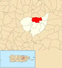 Location of Sonadora within the municipality of Aguas Buenas shown in red