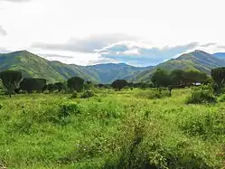 (Bukonzo west), Associated with the origin of the Basongora clan among the Bakonzo. A cattle keeping clan. Common to the hill is the collection of grasshoppers (emishenene) which is also the totem for the clan.
