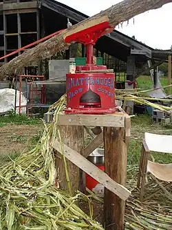 A horse-driven sorghum cane juicer at work in North Carolina