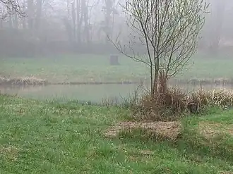 Countryside in Pageas