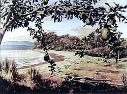 A landscape painting of Guanacaste, featuring a mango tree overlooking a beach
