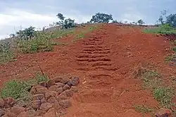 Historical meeting place for Busoga chiefs. Omukama Kabalega died here while on return from Seychelles exile