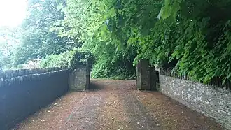 Entrance lane from the road