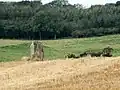 One of the two Standing stones north of Cremlyn
