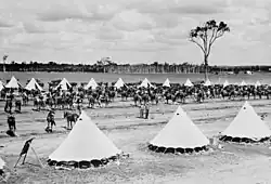 Encampment of soldiers and horses, c1899 (possibly a Boer War contingent)[gallery 4]