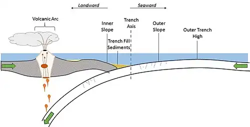 Trench fill sedimentary basin in the context of a convergent plate boundary