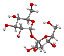 Ball-and-stick model of sucrose