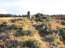 Three round barrows on Withycombe Common, 360&nbsp;m north of Fire Tower