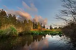 Sunset over a small lake