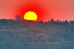 Rietvlei Nature Reserve