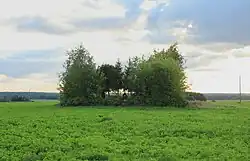 Cemetery of the Home Army soldiers who died in the Battle of Surkanty in 2008