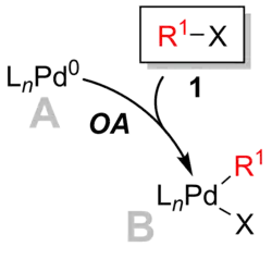 Oxidative addition step in Suzuki coupling.
