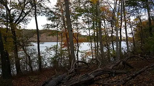 Swartswood Lake seen from the Grist Mill Trail
