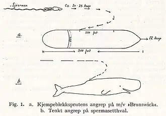 #106 (1930–1933) Arne Grønningsæter's sketch of his supposed encounter with a giant squid in the open ocean between Hawaii and Samoa in 1930–1933 (Grønningsæter, 1946:380, fig. 1). The animal was observed swimming at 20–25&nbsp;kn (37–46&nbsp;km/h) alongside a 15,000-ton freighter before turning towards the ship, colliding with the hull, skidding along it, and being ground to pieces by the propeller.