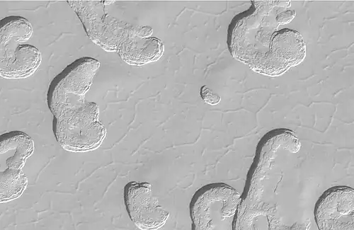 Close-up view of Swiss cheese terrain. Polygonal pattern was probably formed by shallow troughs.