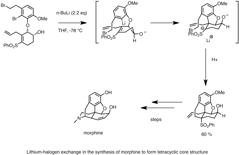 Synthesis of morphine using lithium–halogen exchange
