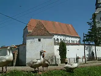 13th Century UNESCO World Heritage fortified Unitarian Church, and some geese