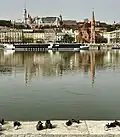 View from "Shoes on the Danube"