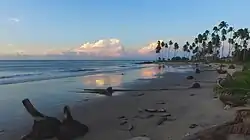 Image 1Coral Point, on the south of Trinidad (from Biota of Trinidad and Tobago)