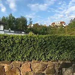 Tømmerstø with Dreggveien