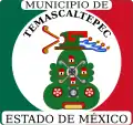 Official seal of Temascaltepec