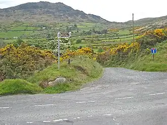 Trail near Slieve Foy (Carlingford Mountain)