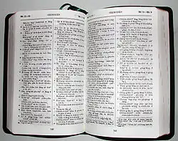 The Amoy Romanized Bible