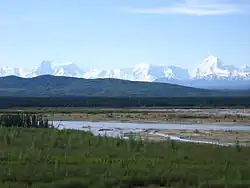 A shallow braided river flows over a plain partly covered by green plants and grasses. Jagged snow-covered mountains rise in the distance.